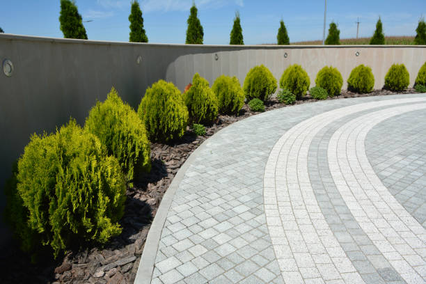 Best Decorative Driveway Pavers  in Weston, OH